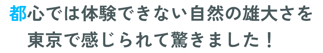 都心では体験できない自然の雄大さを東京で感じられて驚きました！
