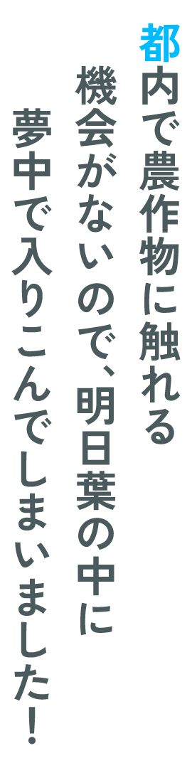 都内で農作物に触れる機会がないので、明日葉の中に
夢中で入りこんでしまいました！
