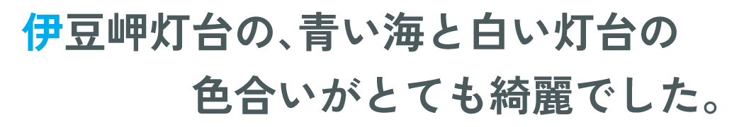 伊豆岬灯台の、青い海と白い灯台の色合いがとても綺麗でした。